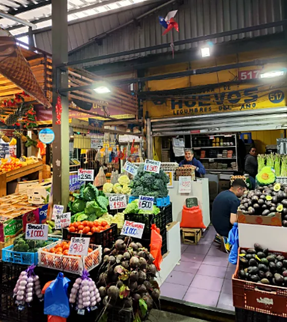 Puesto de verduras con brócoli, coliflor, tomates, paltas y ajos con precios en cartulinas